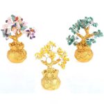 Season Of Abundance Bonsai Money Tree