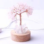 HEAL AND BLOOM ​BUNDLE